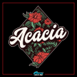 Acacia Graphic T-Shirt | Aloha Supply