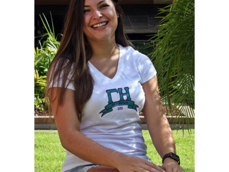 Gamma Eta Banner V Neck - Discontinued For Cheap