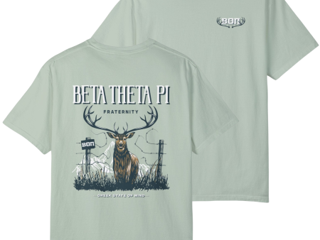 Beta Theta Pi Graphic T-Shirt | Big Buck Online Sale