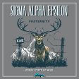 Sigma Alpha Epsilon Graphic Hoodie | Big Buck For Cheap