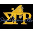 Sigma Gamma Rho New Image Patch 2 on Sale