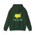 Delta Tau Delta Graphic Hoodie | The Masters Online Sale