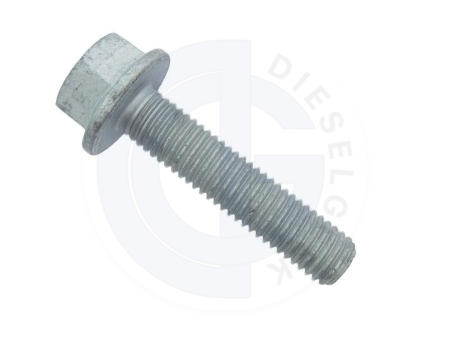 Common Rail Large Roller Stretch Bolt N 106 999 01 Discount