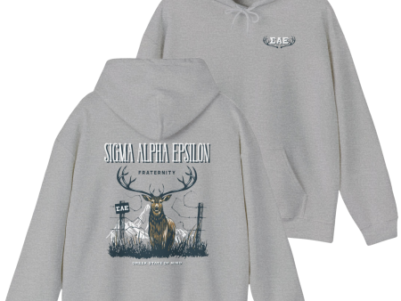 Sigma Alpha Epsilon Graphic Hoodie | Big Buck For Cheap