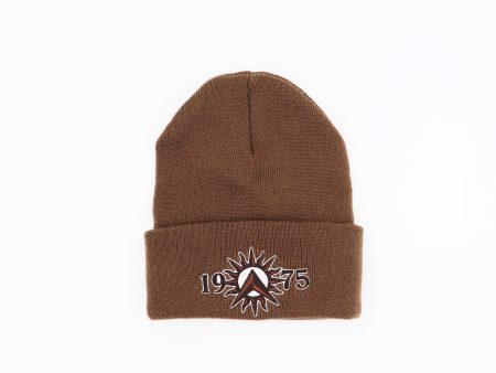 Lambda Theta Phi Brown Beanie For Cheap