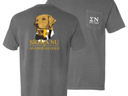 Sigma Nu Comfort Colors Retriever Flag Tee Supply