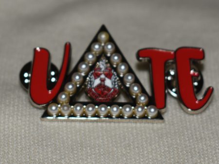 DST Vote Pin Online Hot Sale