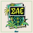 Sigma Alpha Epsilon Graphic Hoodie | Tropical Billboard For Discount