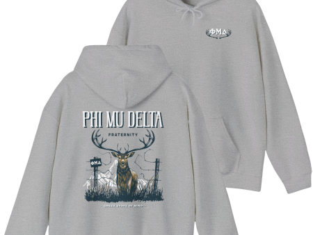 Phi Mu Delta Graphic Hoodie | Big Buck Sale