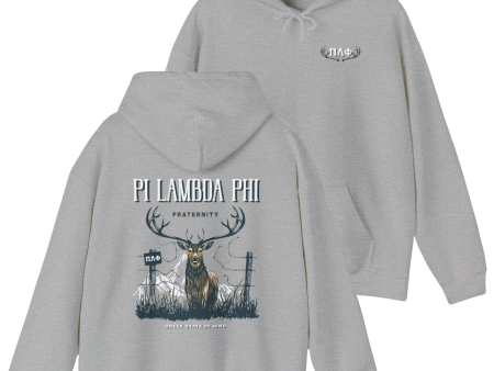 Pi Lambda Phi Graphic Hoodie | Big Buck Online