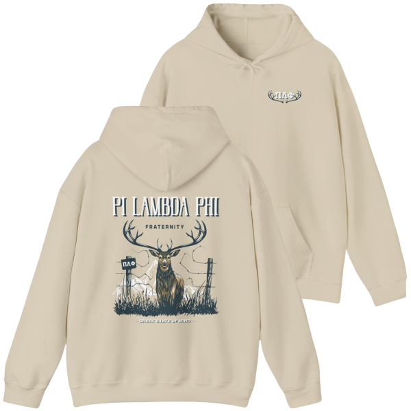 Pi Lambda Phi Graphic Hoodie | Big Buck Online