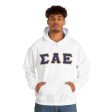 Sigma Alpha Epsilon Printed Letter Hoodie | Purple with Old Gold Border For Sale