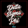 Delta Sigma Phi Graphic Hoodie | Aloha Discount