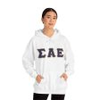 Sigma Alpha Epsilon Printed Letter Hoodie | Purple with Old Gold Border For Sale