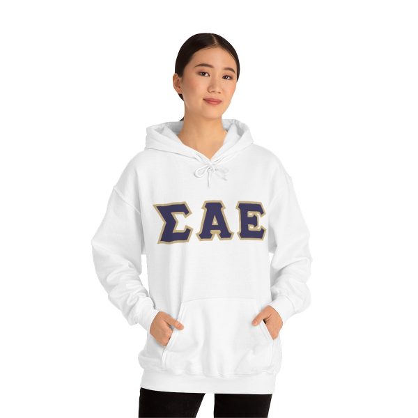 Sigma Alpha Epsilon Printed Letter Hoodie | Purple with Old Gold Border For Sale