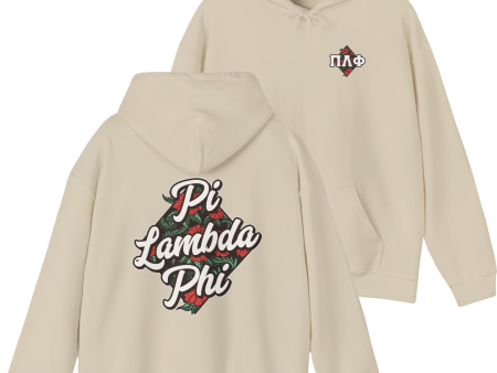 Pi Lambda Phi Graphic Hoodie | Aloha For Discount