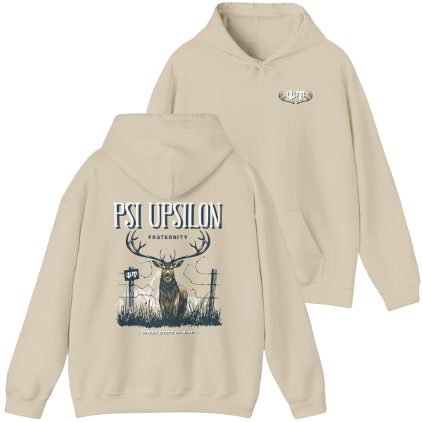 Psi Upsilon Graphic Hoodie | Big Buck Online now