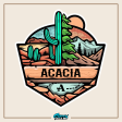 Acacia Graphic Crewneck Sweatshirt | Desert Mountains Online