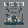 Tau Epsilon Phi Graphic Hoodie | Big Buck Fashion