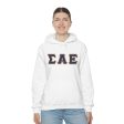 Sigma Alpha Epsilon Printed Letter Hoodie | Purple with Old Gold Border For Sale