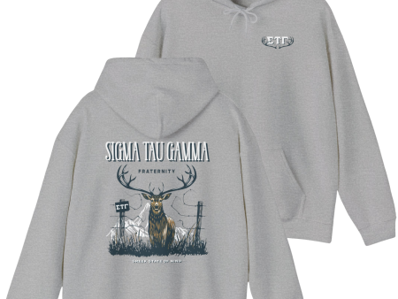 Sigma Tau Gamma Graphic Hoodie | Big Buck For Discount