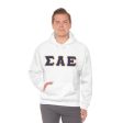 Sigma Alpha Epsilon Printed Letter Hoodie | Purple with Old Gold Border For Sale