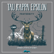 Tau Kappa Epsilon Graphic Hoodie | Big Buck For Cheap