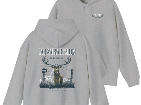 Tau Kappa Epsilon Graphic Hoodie | Big Buck For Cheap