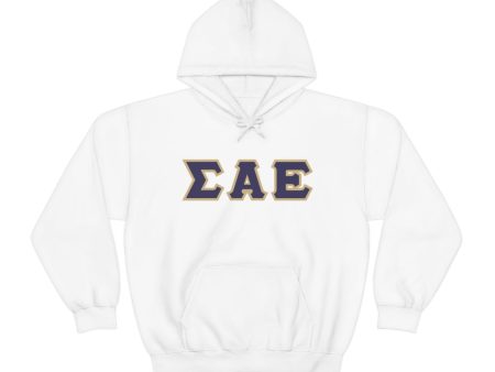 Sigma Alpha Epsilon Printed Letter Hoodie | Purple with Old Gold Border For Sale