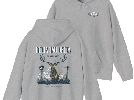 Delta Tau Delta Graphic Hoodie | Big Buck Sale