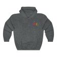 Sigma Phi Epsilon Graphic Hoodie | Tricolor Letter Logo LC For Sale