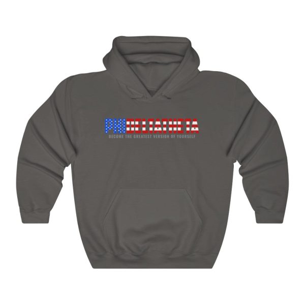 Phi Delta Theta Graphic Hoodie | An American Fraternity Discount