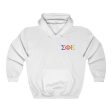 Sigma Phi Epsilon Graphic Hoodie | Tricolor Letter Logo LC For Sale