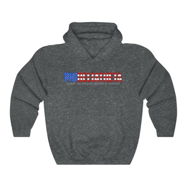 Phi Delta Theta Graphic Hoodie | An American Fraternity Discount