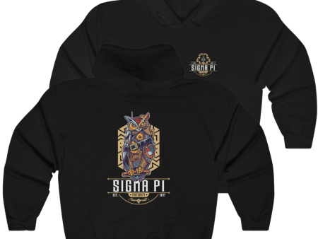 Sigma Pi Graphic Hoodie | Steampunk Owl Online now