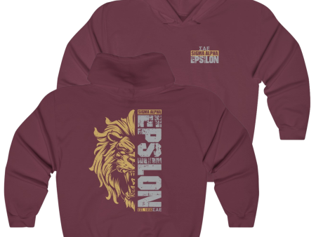 Sigma Alpha Epsilon Graphic Hoodie | Lion Hearted Online Sale