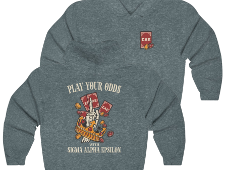 Sigma Alpha Epsilon Graphic Hoodie | Play Your Odds Online Hot Sale